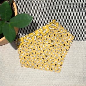 NWOT Reversible Dog Bandana